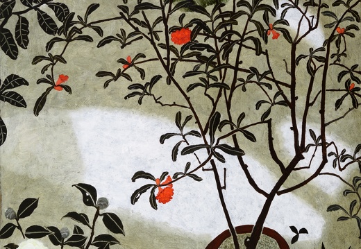 C069 Blooming in the Morning III - Pomegranate Flowers