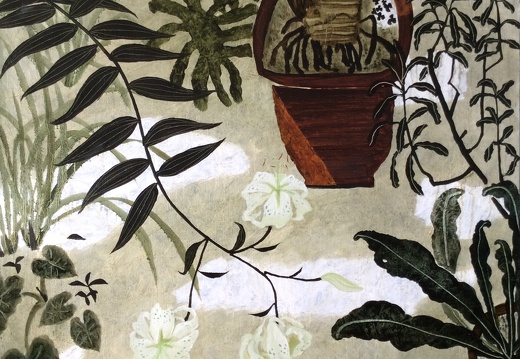 C070  Blooming in the Morning IV - Lilium speciosum