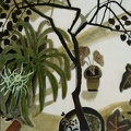 035 Trees and Shade I