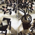 037 The Lemon Blooming in Courtyard
