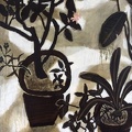 037 The Lemon Blooming in Courtyard II