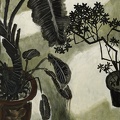 041 Summer Courtyard III