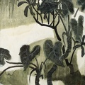 041 Summer Courtyard V