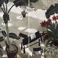 045 The Early Summer in Courtyard