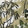 043 Blooming in Courtyard - the Loquat III