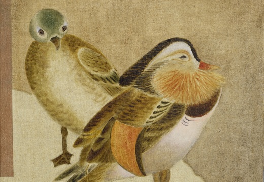 T016 Mandarin Duck