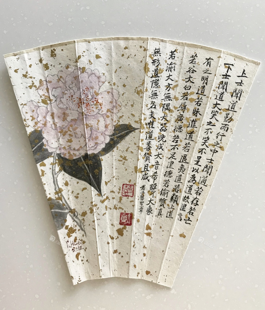 T019-4.jpg