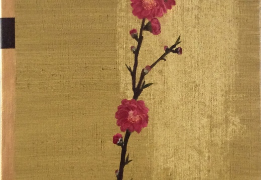 T020 Red & Write Apricot