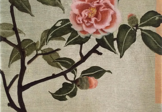 T025 Red & White Camellia