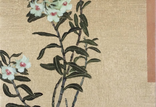 T028 Dendrobium I