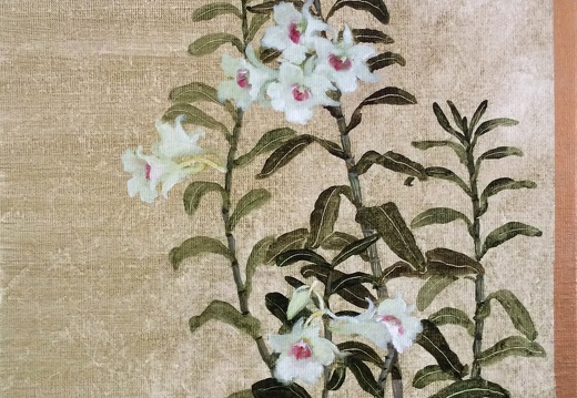 T031 Dendrobium II
