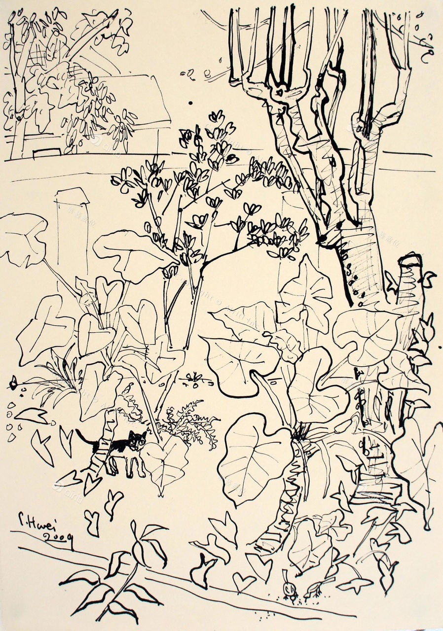 D001.jpg