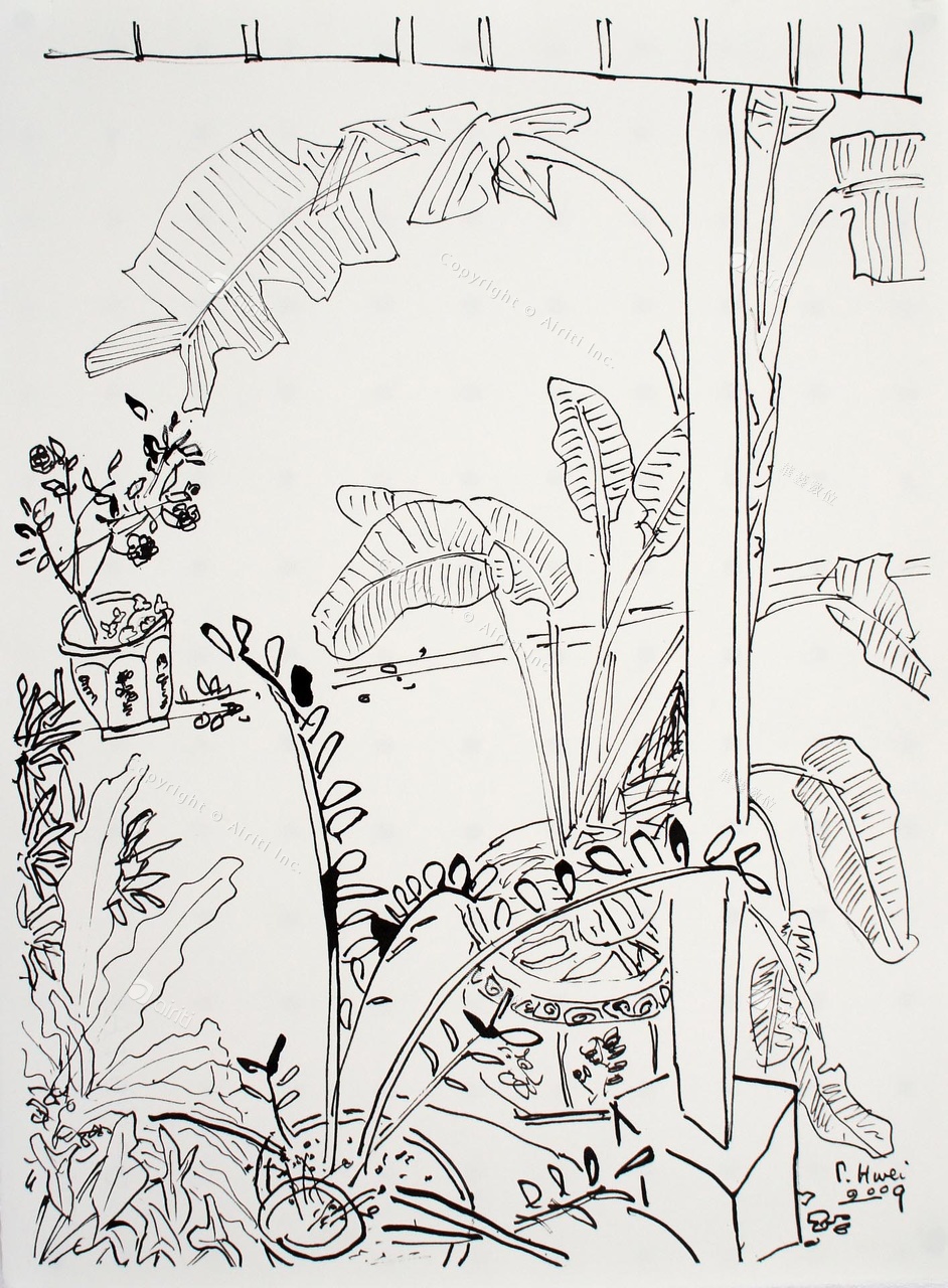 D010.jpg