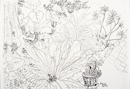 D016 Courtyard- Pen Drawing