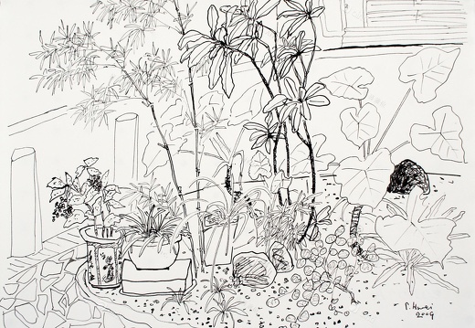 D019 Courtyard- Pen Drawing