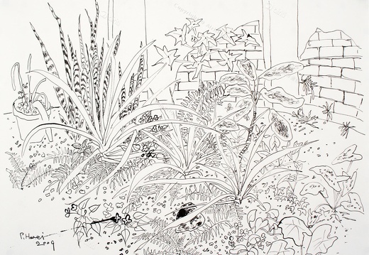 D020 Courtyard- Pen Drawing