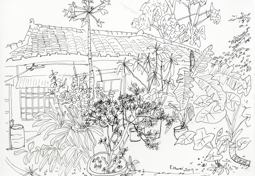 D024 Courtyard- Pen Drawing