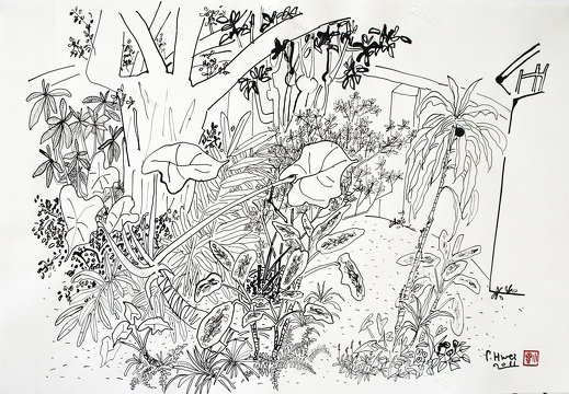 D025 Courtyard- Pen Drawing