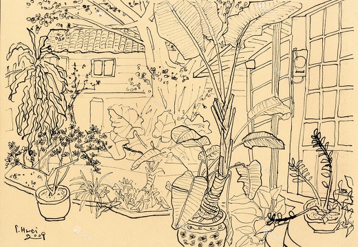 D023 Courtyard- Pen Drawing