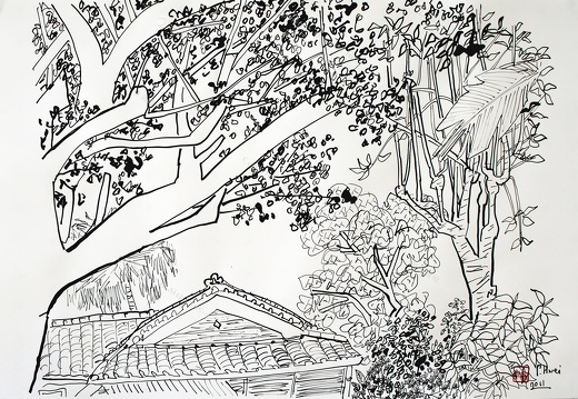 D027 Courtyard- Pen Drawing