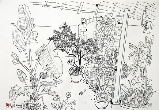 D026 Courtyard- Pen Drawing