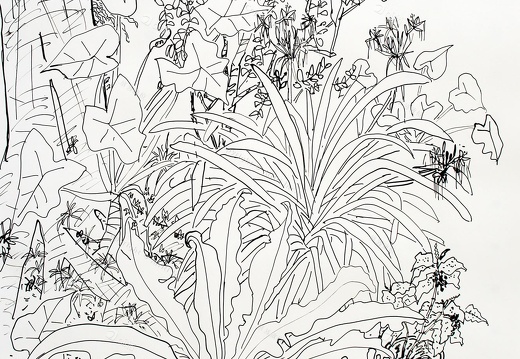 D030 Courtyard- Pen Drawing