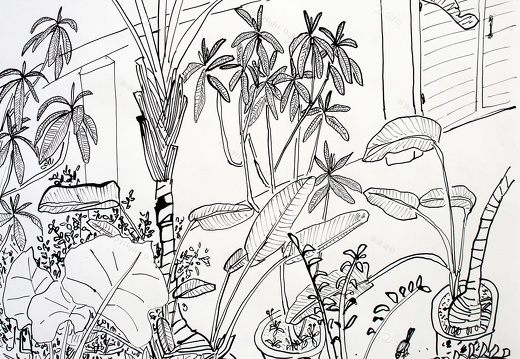 D031 Courtyard- Pen Drawing