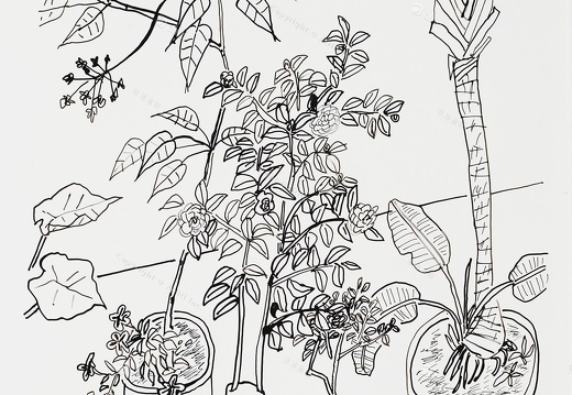 D033 Courtyard- Pen Drawing