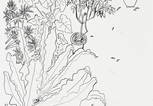 D036 老院子–素描