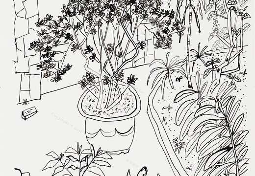 D034 Courtyard- Pen Drawing