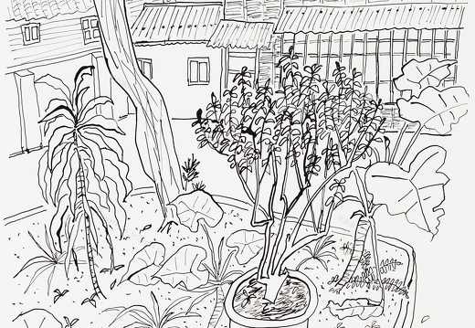 D037 Courtyard- Pen Drawing