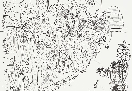 D039 Courtyard- Pen Drawing