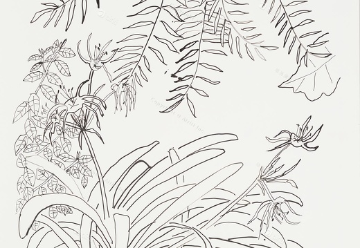 D038 Courtyard- Pen Drawing