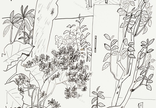 D041 Courtyard- Pen Drawing