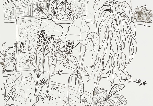 D043 Courtyard- Pen Drawing