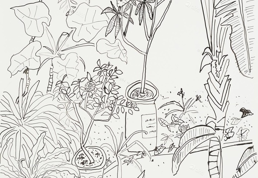 D042 Courtyard- Pen Drawing