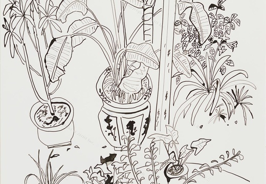 D048 Courtyard- Pen Drawing