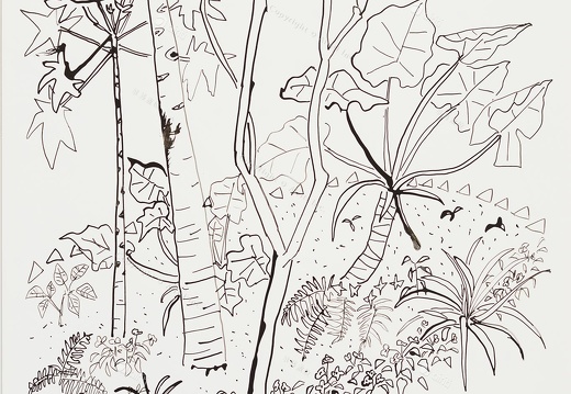 D046 Courtyard- Pen Drawing
