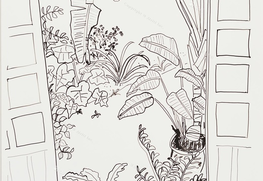 D050 老院子–素描