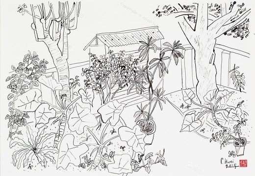D052 Courtyard- Pen Drawing