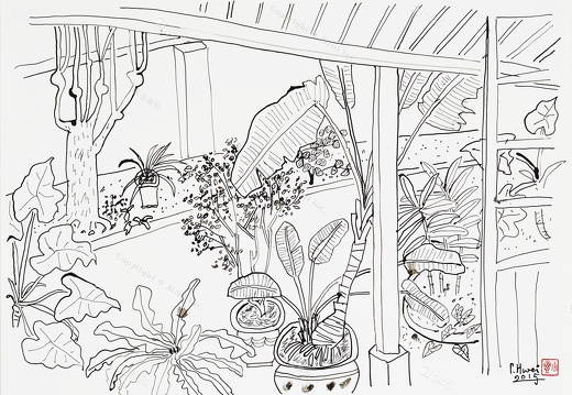 D053 Courtyard- Pen Drawing