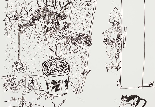 D049 Courtyard- Pen Drawing
