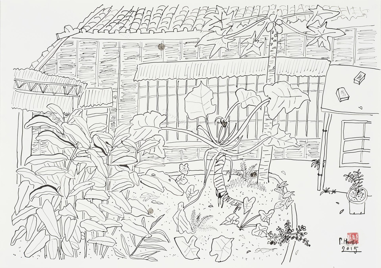 D054.jpg