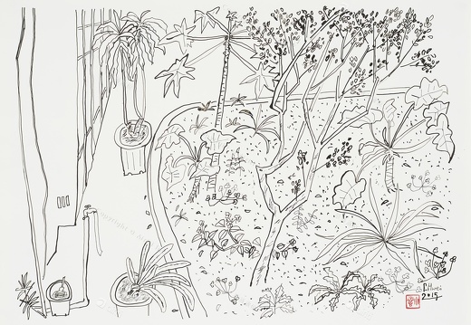 D057 Courtyard- Pen Drawing