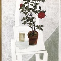 T069 A Sunny Day- Red Camellia